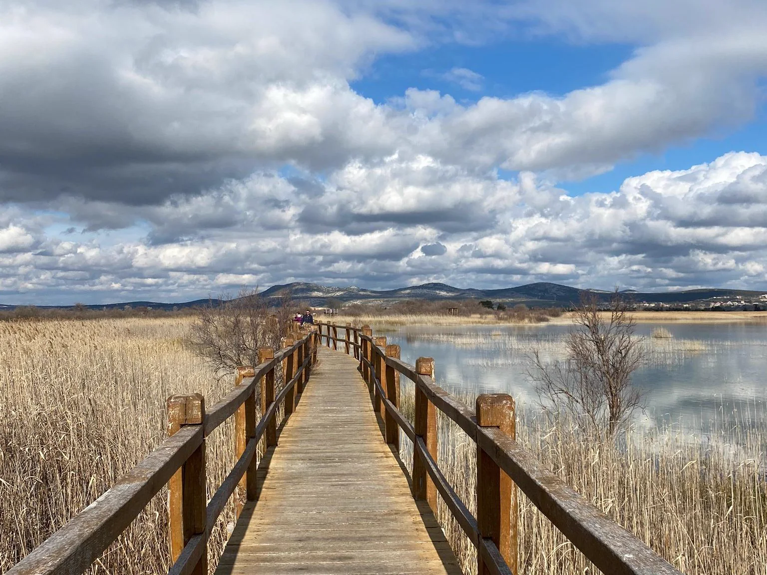 Wooden path crossing the wetlands of Vransko Lake
